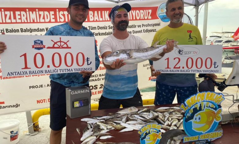 Antalya'da istilacı balon balığı avlama yarışması yapıldı
