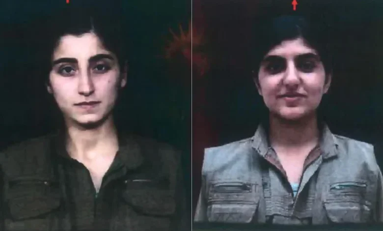 İki el yapımı bomba uzmanı etkisiz hale getirildi