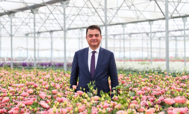 Tokat'ta yetişiyor, 4 ülkeye gönderiliyor