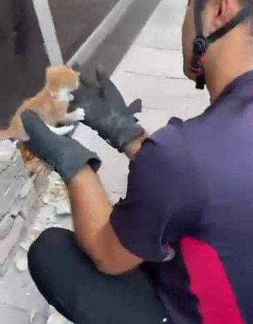 Sokaktaki Can Dostlarının En ‘İmkânsız’ Anlarında Yanında Oldular