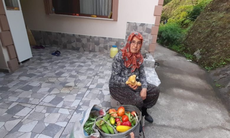 Trabzon'da bir kişi 61 çeşit ürün yetiştiriyor