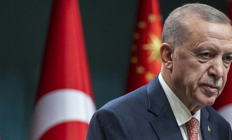 Cumhurbaşkanı Erdoğan'dan CHP'ye enerji yatırımları eleştirisi