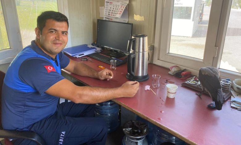 Maskot karganın 'firari' karga olduğu ortaya çıktı