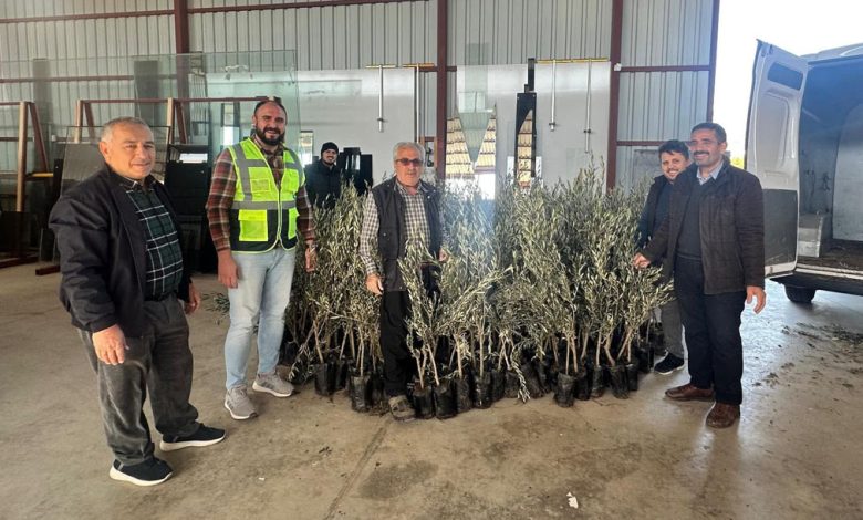 Antalya'da üreticilere fidan desteği sağlanıyor - Birlik Haber Ajansı