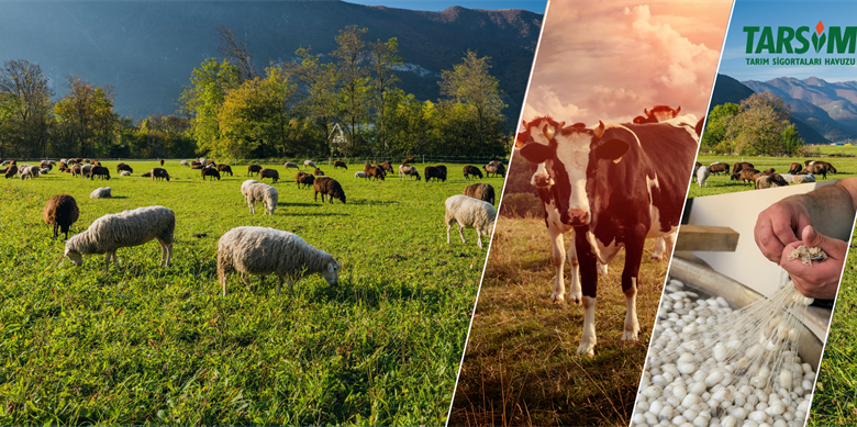 Çiftçilerin Tarım Sigortasına Bakanlıktan Destek - Birlik Haber Ajansı