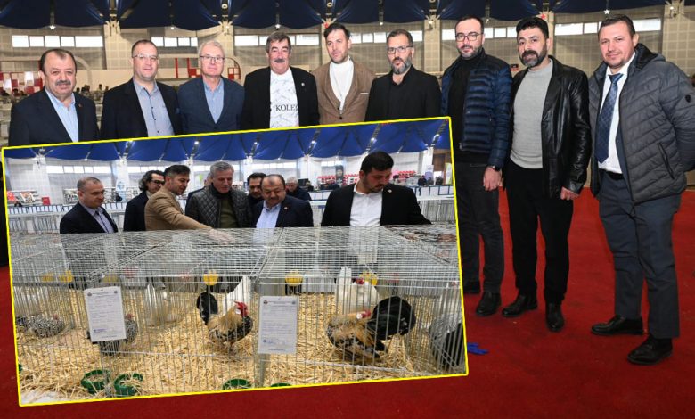 Isparta’da 8. Ulusal Kümes Hayvanları Gösterisi yapıldı - Birlik Haber Ajansı