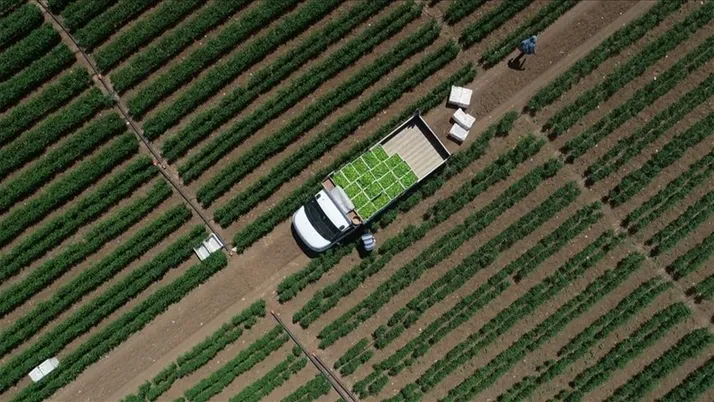 Tarıma 461 milyon lira destek! - Birlik Haber Ajansı