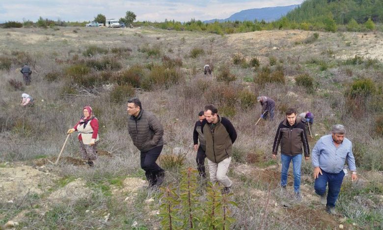 Bucak ormanında 2025 bakım programı çalışmaları denetlendi - Birlik Haber Ajansı