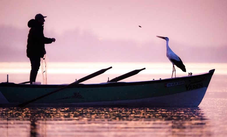 Bursa'da Yaren Leylek 14'üncü kez Adem Amca'yla buluştu - Birlik Haber Ajansı