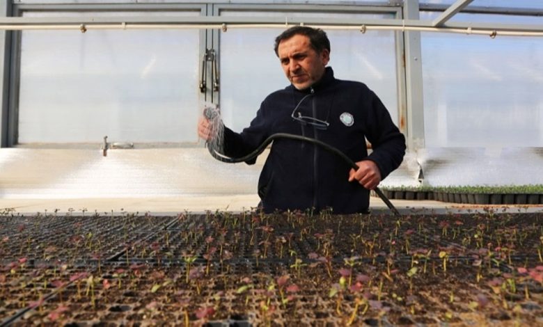 Eskişehir'in yeşil yüzü şehri süslüyor - Birlik Haber Ajansı