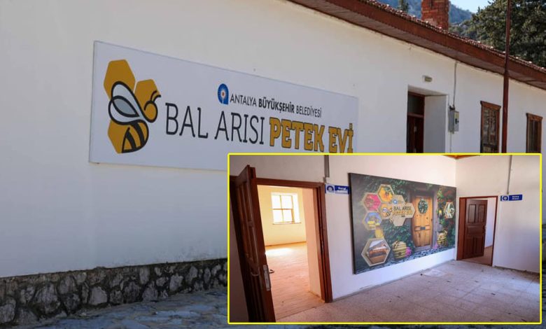 İbradı’n yeni ekonomik ve kültürel merkezi: Bal Arısı Petek Evi - Birlik Haber Ajansı