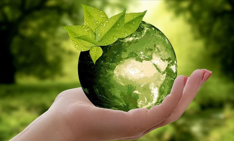 Sıfır Atık Hareketi 7. yılında dünyaya yayılıyor! - Birlik Haber Ajansı