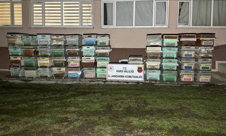 Arı kovanı hırsızları Jandarma ekiplerince yakalandı - Birlik Haber Ajansı