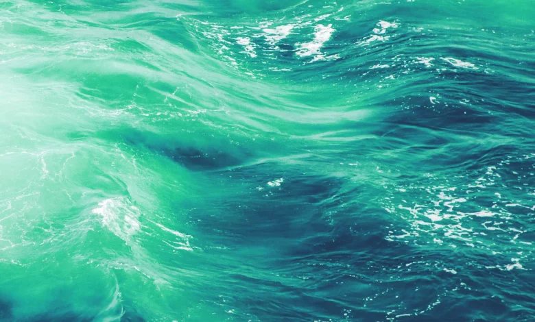 Bilim insanları ‘Olo’ adında yeni bir renk keşfetti, ancak bir sınırlama var - Birlik Haber Ajansı