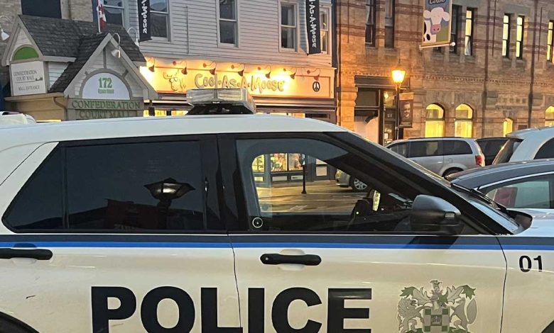 Kanada'da festivale araçlı saldırı: Ölü sayısı 11’e yükseldi - Birlik Haber Ajansı