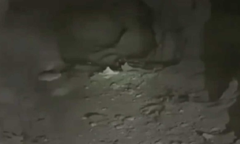 Pençe-Kilit Operasyonu bölgesinde teröristlere ait mağara tespit edildi - Birlik Haber Ajansı