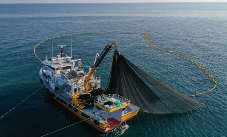 Su ürünleri avcılığında yeni dönem: Kurallar güncellendi - Birlik Haber Ajansı