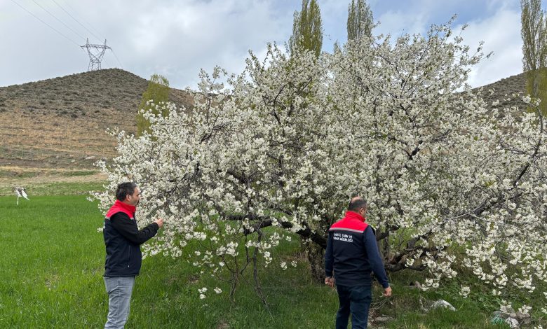 Zirai Don Tehlikesine karşı çiftçileri uyarı - Birlik Haber Ajansı
