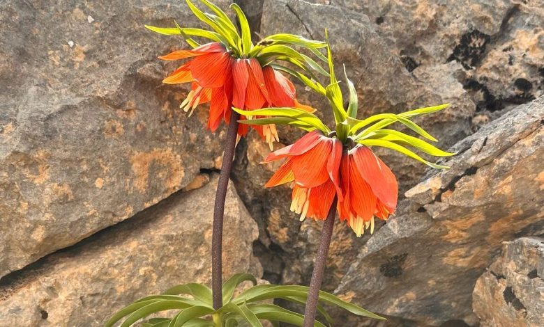 Terörün Bitmesiyle Bölge Turizmi