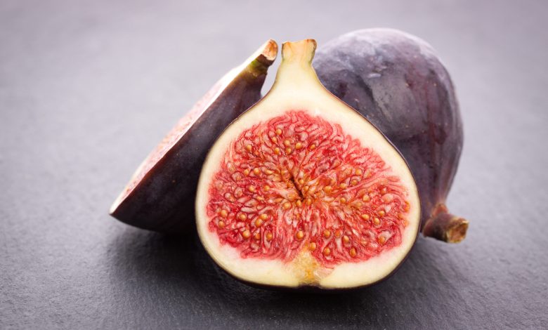 SÜMEYYENUR ALP – TEKHA