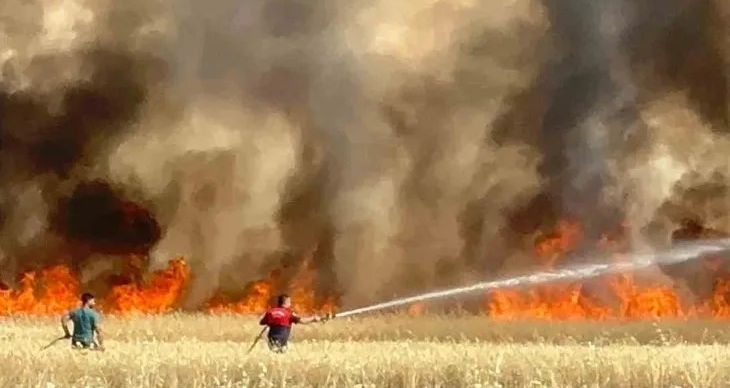 Burak BİROL – BURSA/TEKHA