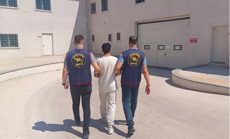 SÜMEYYENUR ALP – TEKHA