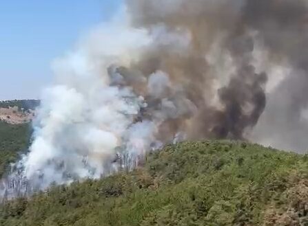 Bursa’nın Orhaneli ilçesinde dün