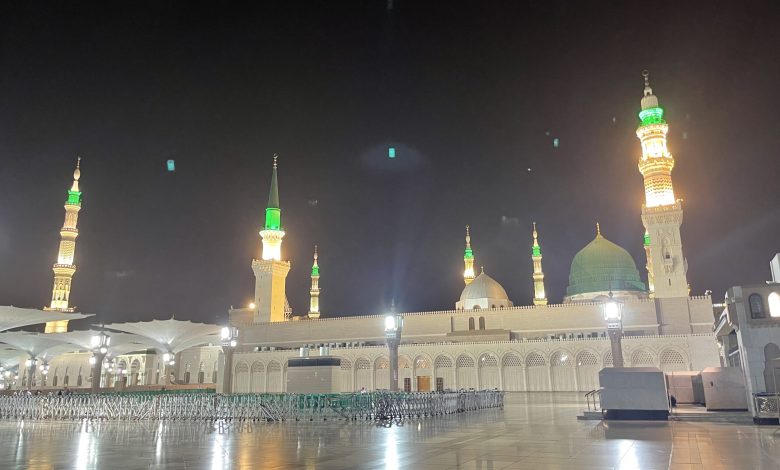 Tek Haber Ajansı Yönetim