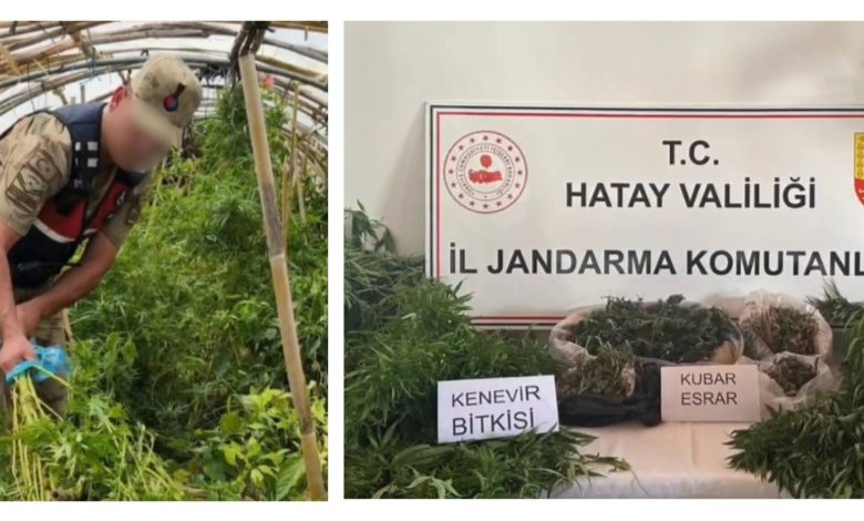 Hüseyin ZORKUN – HATAY