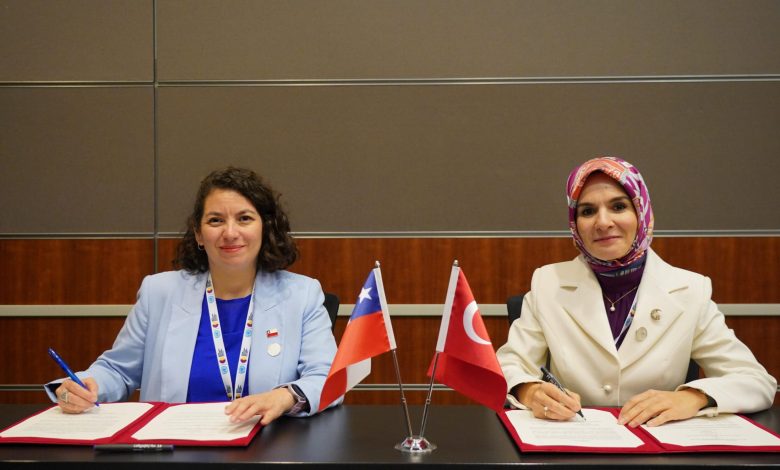 KATAR / TEKHA &nbsp;