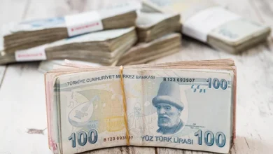 ANKARA / TEKHA TÜİK, 2025