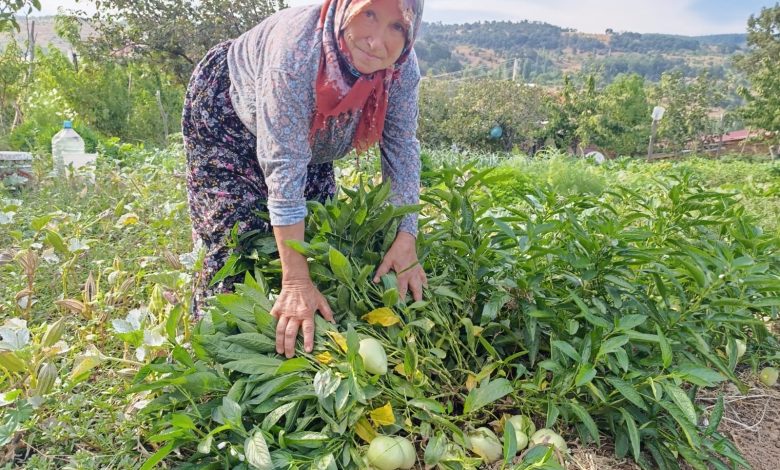 ADİL AKA – DEMİRCİ