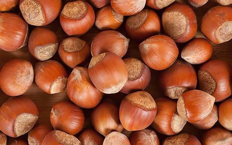 Trabzon, Türkiye Fındık İhracatının