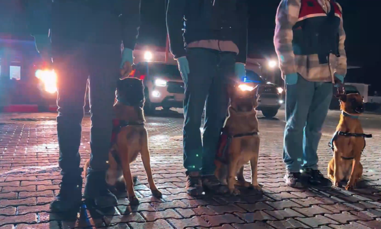 İSTANBUL / TEKHA İstanbul merkezli