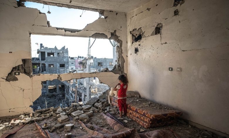 ABD / TEKHA  Birleşmiş