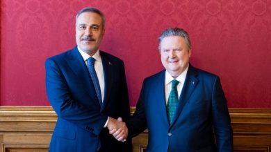 VİYANA / TEKHA Dışişleri Bakanı