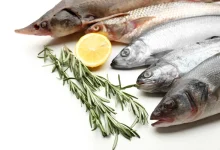 ANKARA / TEKHA Tarım ve