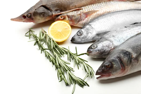 ANKARA / TEKHA Tarım ve