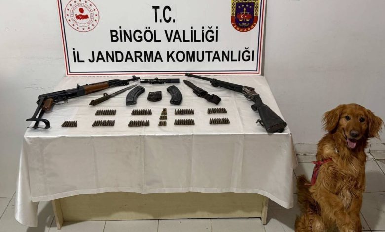 BİNGÖL / TEKHA BİNGÖL’ün Karlıova