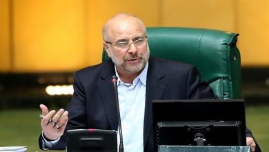 İRAN / TEKHA İran Meclis