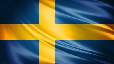 Üst Düzey Diplomat Ulusal Güvenliği