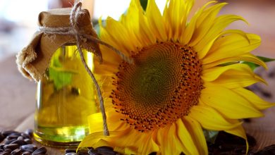 İSTANBUL / TEKHA Türkiye’nin