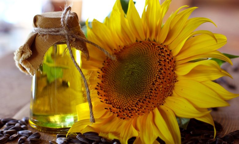 İSTANBUL / TEKHA Türkiye’nin